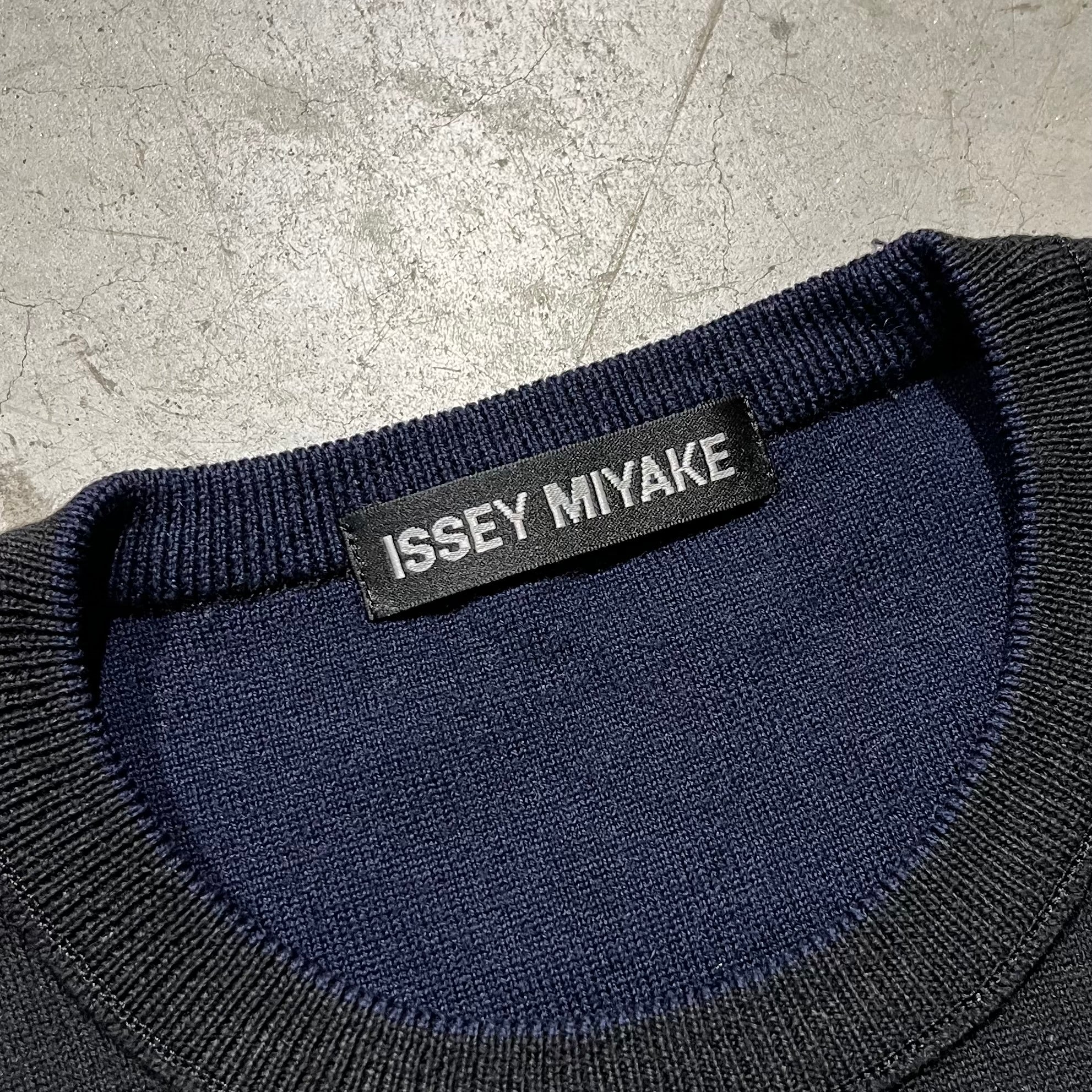 Issey Miyake Knit Sweater